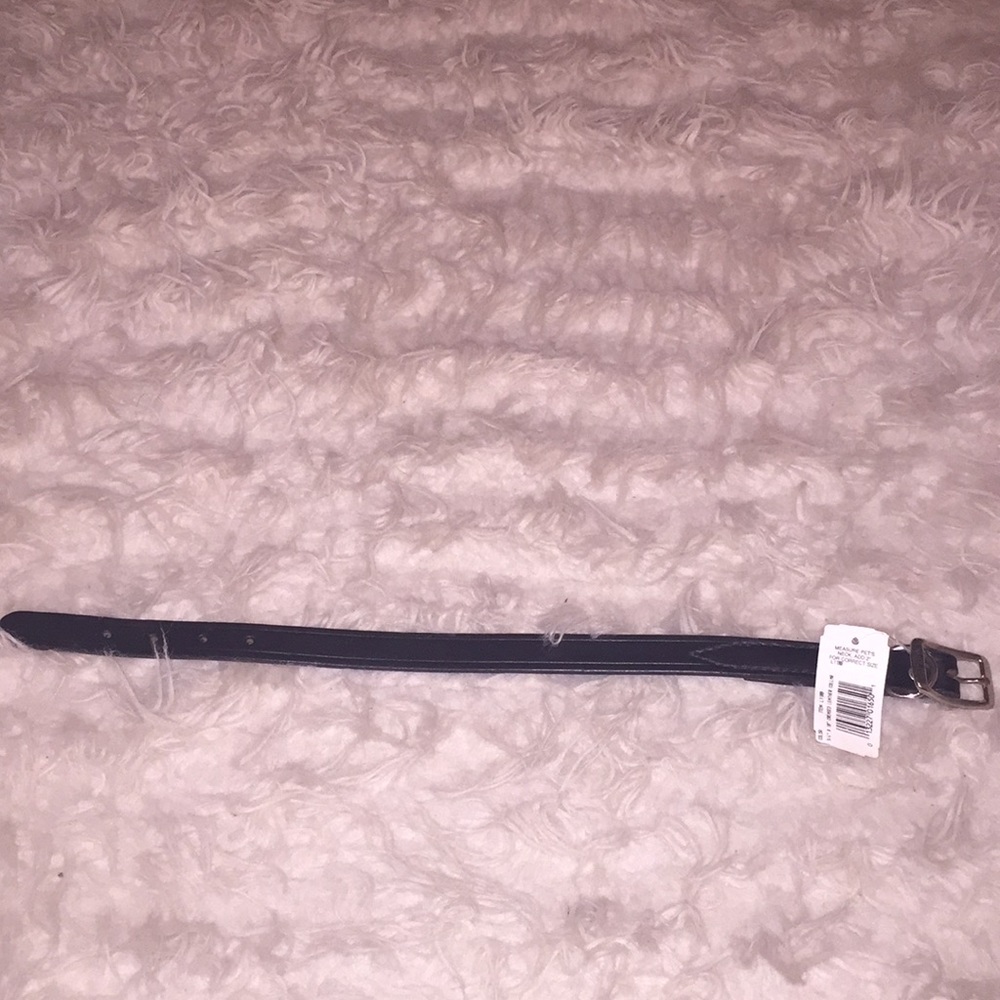 Hamilton pets collar NWT